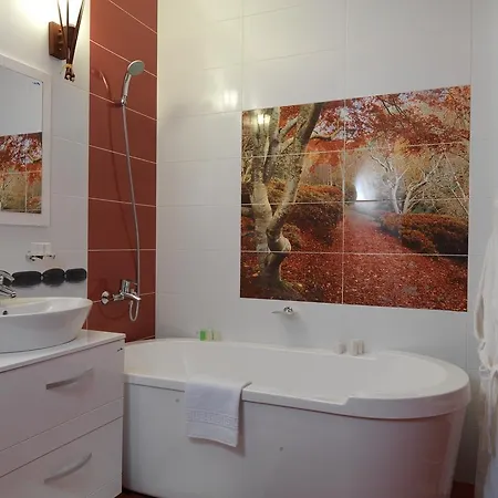 La Favorita Boutique 4* Craiova