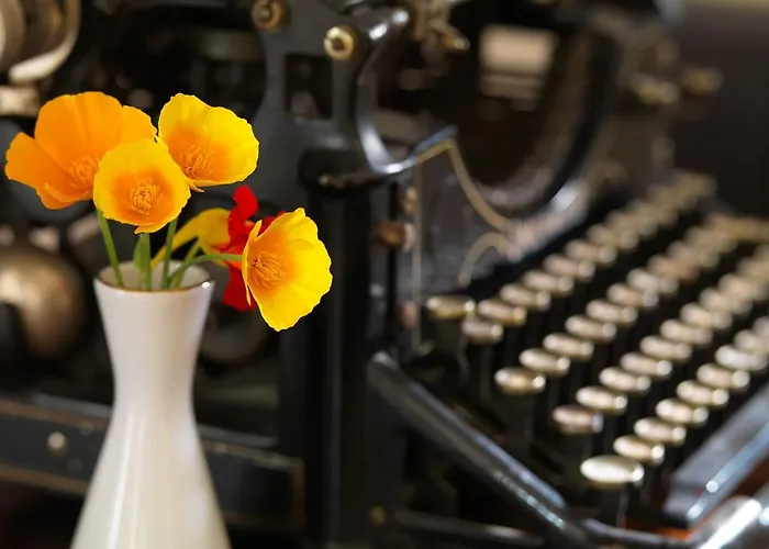 Pensiune La Favorita Boutique 4*